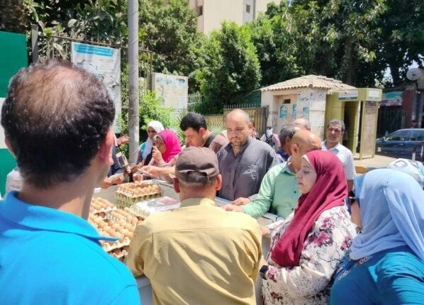 الزراعة تطرح كميات من البيض بسعر 120 جنيه للكرتونةأطلقت وزارة الزراعة واستصلاح الأراضي، ممثلة في الهيئة العامة للإصلاح الزراعي، كميات من بيض المائدة