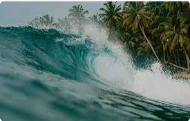 ما هو تفسير حلم أمواج البحر المرتفعة للعزباء لابن سيرين؟ ما هو تفسير حلم أمواج البحر المرتفعة للعزباء لابن سيرين؟ الجميع يعشق البحر ويتمنى الذهاب إليه كي يتمتع بالمنظر الرائع ويشعر