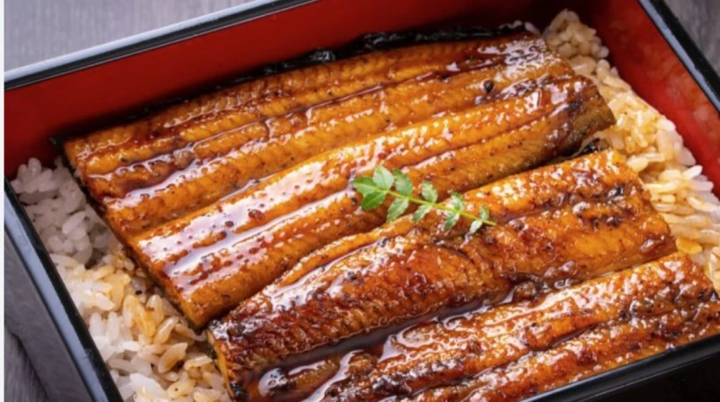 ثعبان مشوي بالصلصة.. وجبة تقتل امرأة وتسمم 140 آخرين في اليابان تسبب ثعبان بحر مشوي في وفاة امرأة وتسمم 140 آخرين بأحد المولات التجارية الكبرى في