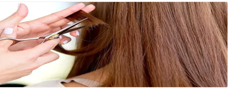 دلالات تسريح الشعر في المنام لابن سيرين تسريح الشعر في المنام، من الرؤى التي يراها النساء دائما فهو من الأمور التي تشغل الكثير منهم ومن الاهتمامات