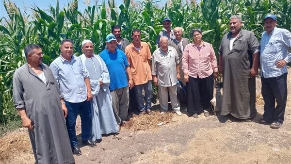 الزراعة تدرب مزارعي الأرز على ترشيد استخدام المياه وزيادة الإنتاجيةصرح د. السعيد حماد المدير التنفيذى لمشروع ترشيد استخدام المياه فى الأنشطة الزراعية