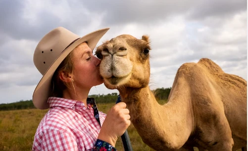 تعرف على تفسير حلم الناقة لابن سيرين تفسير حلم الناقة في المنام من الرؤى التي تحمل تفسيرات وتأويل متعددة وهذا ما يجعل الحالم في حالة من التخبط والدهشة وكذلك الرغبة الشديدة في التعر