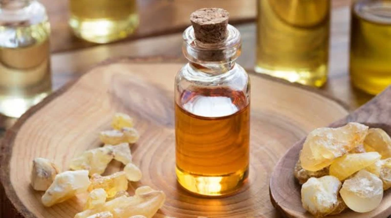 تفتيح وترطيب.. فوائد لبان الدكر للبشرة من المتعارف عن لبان الدكر استخدامه في علاج حب الشباب وتنظيف البشرة، وجعلها أكثر نقاء، ونظرا لتعدد فوائده،