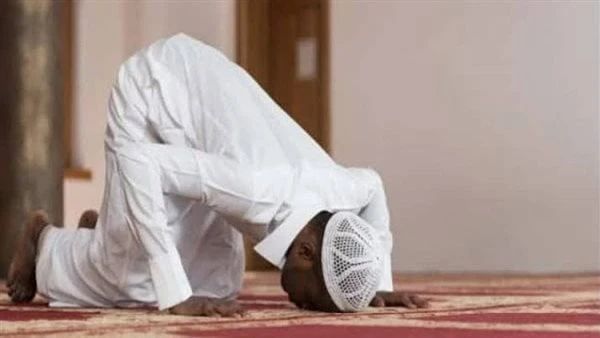 ما يقال في سجودي الشكر والسهو.. الإفتاء توضح اجابت دار الإفتاء المصرية عن سؤال ورد اليها عبر صفحتها الرسمية بموقع التواصل الاجتماعي فيسبوك مضمونة: