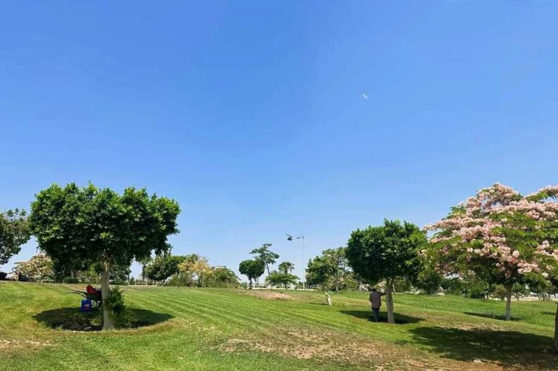 جهاز العبور يعلن زيادة معدلات التشجير بالمدينة قال المهندس أحمد رشاد، رئيس جهاز تنمية مدينة العبور، إنه سيتم تطوير ورفع كفاءة المسطحات الخضراء بمدينة