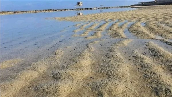 هل انحسار المياه ينبئ بحدوث تسونامي؟ ... البحوث الفلكية تكشف الحقيقة انتشر خلال الساعات الماضية عبر منصات التواصل الاجتماعي السوشيال ميديا، عدد كبير