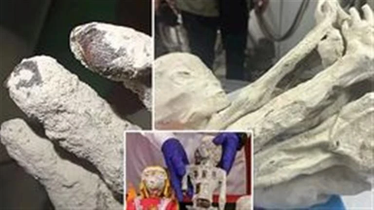 هل هذه كائنات فضائية؟.. مومياوات غير بشرية تثير الجدل في بيرو (صور) لايف ستايل شاهد المقال التالي من صحافة مصر عن هل هذه كائنات فضائية؟ مومياوات غير