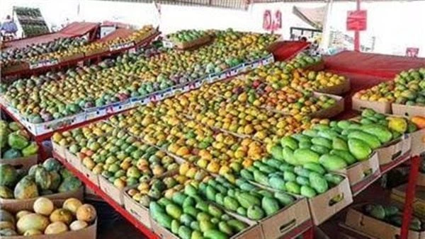 موسم استثنائي.. مفاجأة في أسعار المانجو اليوم بالأسواق لجميع الأنواع تشهد أسعار المانجو في الأسواق تراجع كبير مقارنة بأسعارها العام الماضي، حيث انخفض