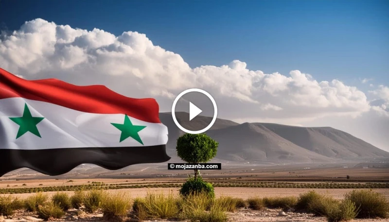 نتائج شهادة التعليم الأساسي 2024 في سوريا برقم الاكتتاب (التاسع): الترقب ينتهي مع اقتراب موعد الإعلان يخيم الترقب على طلاب وطالبات شهادة التعليم