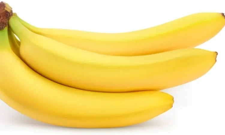تحذير لمحبي الموز.. أضرار الإفراط في تناوله صحة شاهد المقال التالي من صحافة مصر عن تحذير لمحبي الموز أضرار الإفراط في تناوله، يعتبر الموز من الفواكه