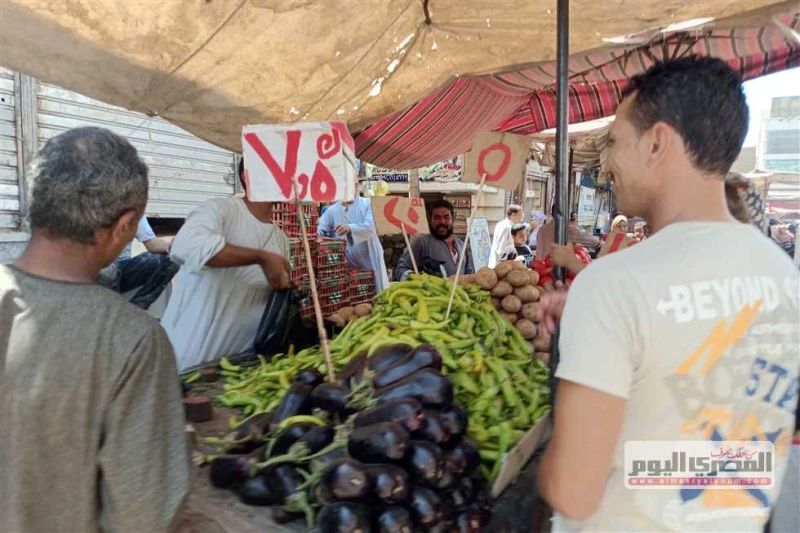 سعر البطاطس والبصل والخضروات بالأسواق اليوم الأحد 28 يوليو 2024 يبحث عدد كبير من المواطنين عن أسعار الخضروات في الأسواق اليوم الاحد 28 يوليو 2024 لشراء احتياجاتهم، خاصة بعدما تقرر 