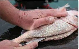 ما تفسير تنظيف السمك في المنام للمتزوجة؟ ما تفسير تنظيف السمك في المنام للمتزوجة؟كثيرا ما ترى المرأة المتزوجة أنها تقوم بتنظيف السمك في المنام، فهي