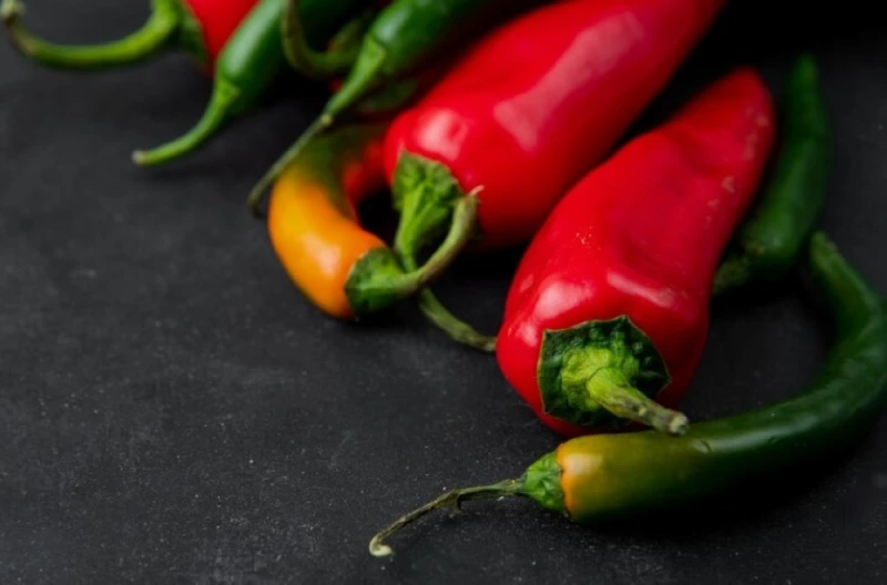 حبحر شقراء.. تظاهرة ترفيهية واقتصادية حاشدة في مهرجان الفلفل الحياة شاهد المقال التالي من صحافة السعودية عن حبحر شقراء تظاهرة ترفيهية واقتصادية حاشدة في مهرجان الفلفل، يستقبل سكان