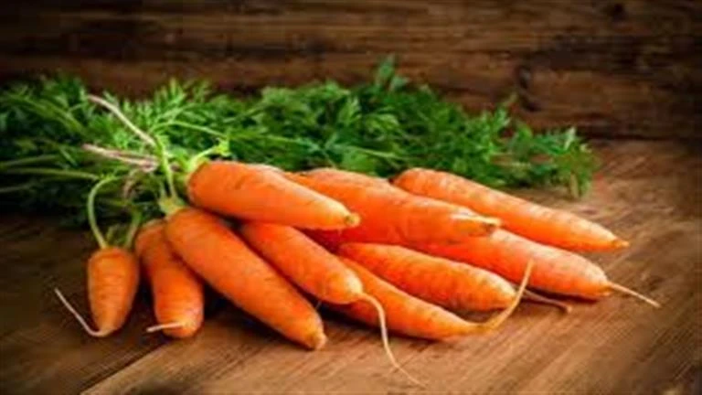 هذا ما يفعله الجزر بصحة البشرة- مفاجأة لايف ستايل شاهد المقال التالي من صحافة مصر عن هذا ما يفعله الجزر بصحة البشرة مفاجأة، 04 00 ص الأربعاء 24 يوليه