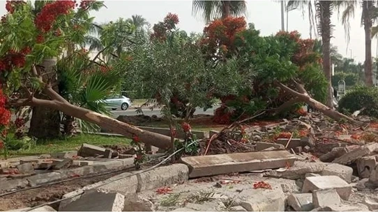 كيف يهدد التوسع الحضري المساحات الخضراء في مصر؟.. خبير يجيب عربي21 لايت شاهد المقال التالي من صحافة قطر عن كيف يهدد التوسع الحضري المساحات الخضراء في