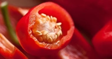 احذر الإفراط فى تناول الأطعمة الحارة.. كيف تؤثر على صحتك؟ صحة وطب شاهد المقال التالي من صحافة مصر عن احذر الإفراط فى تناول الأطعمة الحارة كيف تؤثر