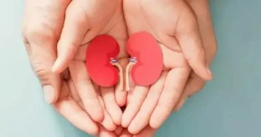 ما مرض الكلى السكرى؟ اعرف الأسباب والأعراض وطرق الوقاية صحة وطب شاهد المقال التالي من صحافة مصر عن ما مرض الكلى السكرى؟ اعرف الأسباب والأعراض وطرق