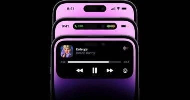 علوم وتكنولوجيا: إيه الفرق؟.. تعرف على أبرز الاختلافات بين هاتفى 14 و 8 شاهد المقال التالي من صحافة مصر عن إيه الفرق؟ تعرف على أبرز الاختلافات بين