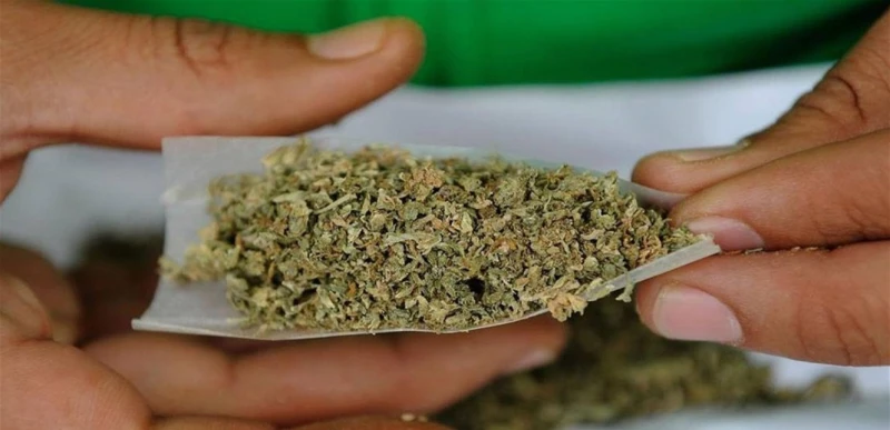 مغني تناول الحشيشة على المسرح بشكل علني.. وفيديو يرصد لحظة توقيفه! تعرف على التالي مغني تناول الحشيشة على المسرح بشكل علني.. وفيديو يرصد لحظة