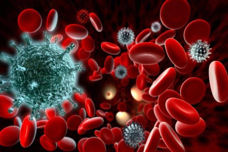 ثورة الذكاء الاصطناعي في الطب.. اكتشاف جديد لتحديد الكريات البيضاء لايف ستايل شاهد المقال التالي من صحافة مصر عن ثورة الذكاء الاصطناعي في الطب اكتشاف