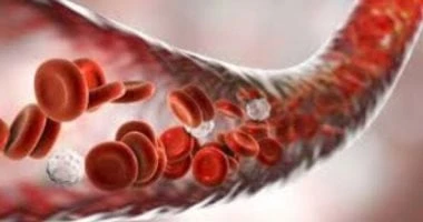 النساء أكثر عرضة لنقص الحديد.. أطعمة تساعدك فى العلاج صحة وطب شاهد المقال التالي من صحافة مصر عن النساء أكثر عرضة لنقص الحديد أطعمة تساعدك فى العلاج،