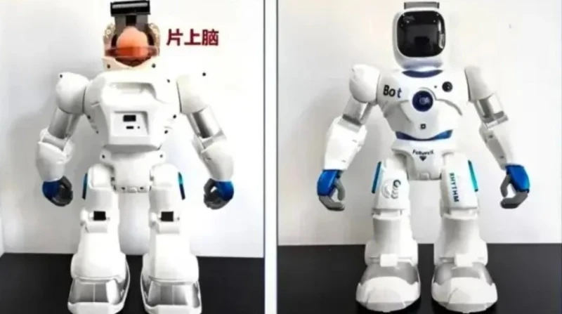 دماغ بشري على شريحة.. روبوت على شكل إنسان بعقل خاص اخترع باحثون بجامعة تيانجين في الصين روبوت بتقنيات فريدة من نوعها، سببت ضجة في جميع الأوساط