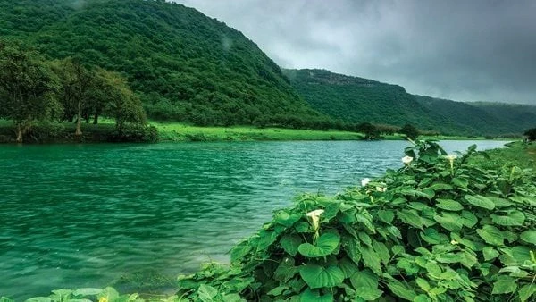 صلالة بسلطنة عمان.. سويسرا الخليج صاحبة الحكايات التي لا تنتهيقيل عنها سويسرا الخليج وملكة جمال العرب، ضباب يتدلى من السماء ليكسو جبالها الخضراء وممراتها التي تحبس الأنفاس ومرتفعات