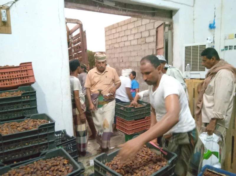 الحديدة تزف خبر إقتصادي ضخم لجميع الشركات والتجار وتعلن توريد أول دفعة بأسعار زهيدة _اخبار اخبار، الحديدة تزف خبر إقتصادي ضخم لجميع الشركات والتجار