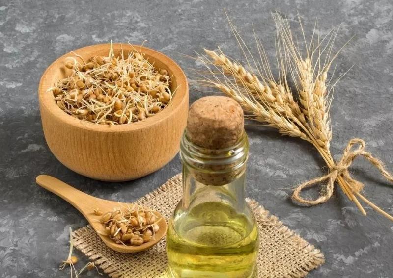 فوائد زيت جنين القمح للشعر.. تعرف على اهم 6 فوائد فوائد زيت جنين القمح للشعر.. تعرف على اهم 6 فوائد يحتوي زيت جنين القمح على أفضل العناصر الغذائية