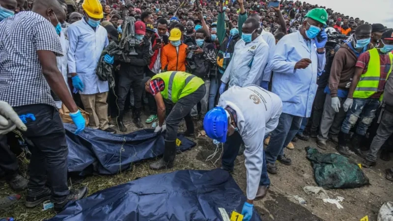 من بينهن زوجته.. قاتل متسلسل يذبح 42 امرأة اخر خبر شاهد المقال التالي من صحافة السعودية عن من بينهن زوجته قاتل متسلسل يذبح 42 امرأة، ألقت السلطات