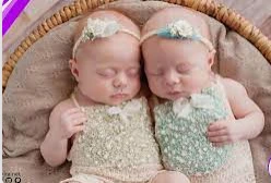 تعرف على تفسير التوأم في المنام لابن سيرين التوأم في المنام، يرى المفسرون أن الحلم يرمز إلى الخير ويحمل الكثير من البشائر للرائي ولكنه يؤول إلى الشر