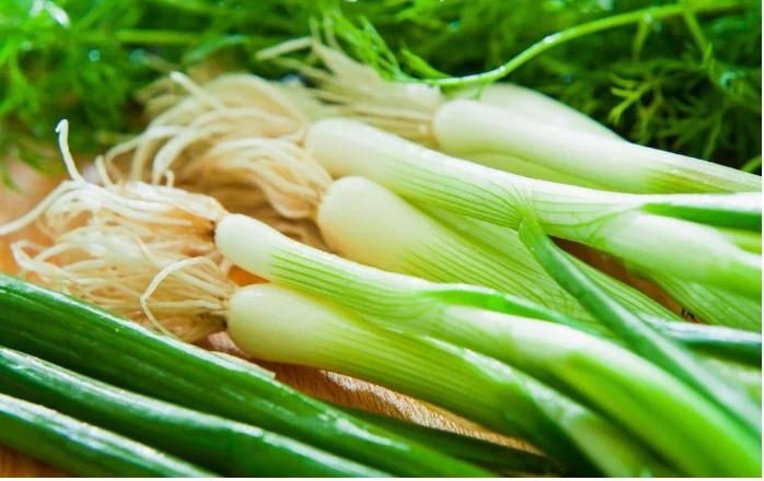 رمز البصل الاخضر في المنام لابن سيرين البصل الاخضر في المنام من الأحلام الغريبة بعض الشيء، حيث يبحث الناس كثيرا عن مدلولات هذه الرؤية وإلى ماذا تعني