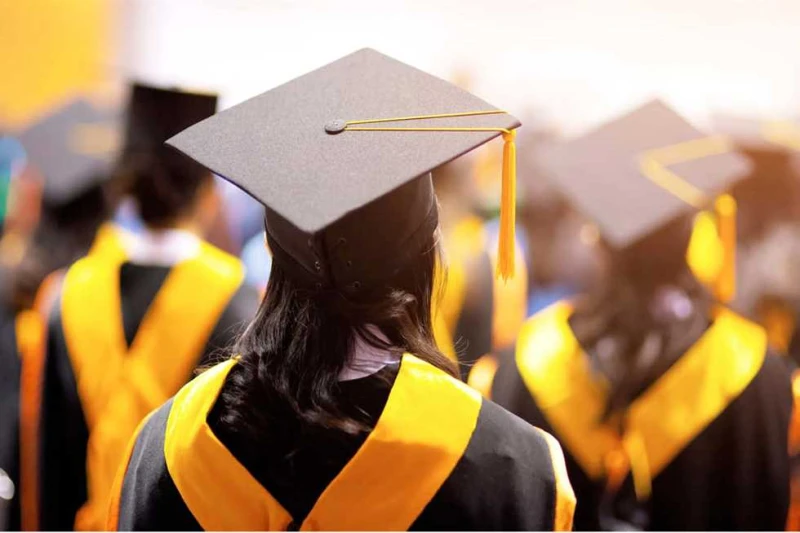 التعليم العالى: ربط الجامعات بسوق العمل والتنمية الشاملة فى مصر أكد الدكتور أيمن عاشور، وزير التعليم العالى والبحث العلمى، أهمية الإسراع بالخطط