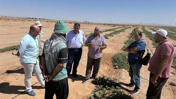 خدمات إرشادية من بحوث الصحراء لمزارعي التجمعات البدوية ب سيناءقال الدكتور حسام شوقي -رئيس مركز بحوث الصحراء إن التواصل مع المزارعين من أبناء سيناء