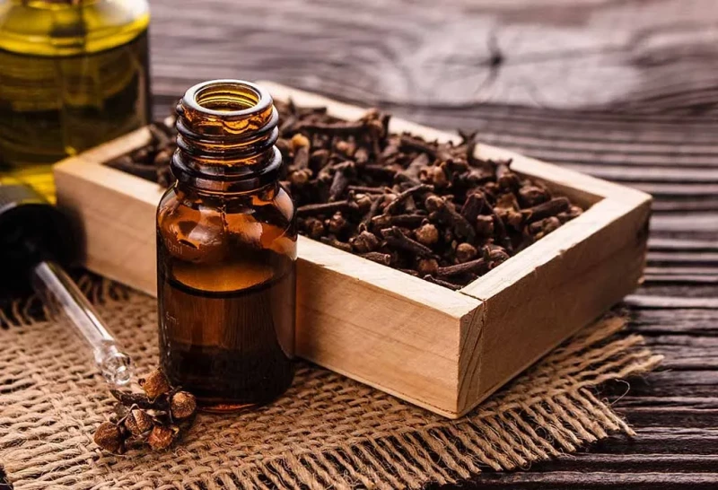 فوائد نبات القرنفل .. بلسم طبيعي للشعرنبات القرنفل يشبه شكل المسمار ، وعشبة القرنفل هي أحد النباتات العطرية التي تستخرج من زهور براعم شجرة