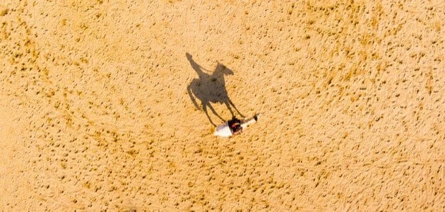 كلام جميل عن الخيل.. 100 عبارة عن الخيلتعد الخيول رمزا للجمال والقوة والشجاعة في العديد من الثقافات حول العالم. لطالما أثرت هذه المخلوقات الرائعة في الأدب والفن، وكانت مصدر إلهام ل