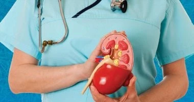 كيف تحافظ على صحة الكلى في الطقس الحار؟ صحة وطب شاهد المقال التالي من صحافة مصر عن كيف تحافظ على صحة الكلى في الطقس الحار؟، يجلب الطقس الحار أوقاتا