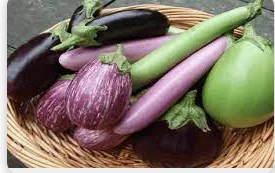 ما هو تفسير الباذنجان في المنام لكبار العلماء؟ رؤية الباذنجان في المنام قد يتعجبه البعض ويرغبون في معرفة تفسيراته تبعا لهيئته سواء كان باللون الأبيض