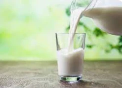 الحليب في المنام ودلالات رؤيته لابن سيرين الحليب في المنام ودلالات رؤيته لابن سيرين، هذا الحلم له دلالات ومعاني كثيرة البعض منها يحمل الخير والبعض