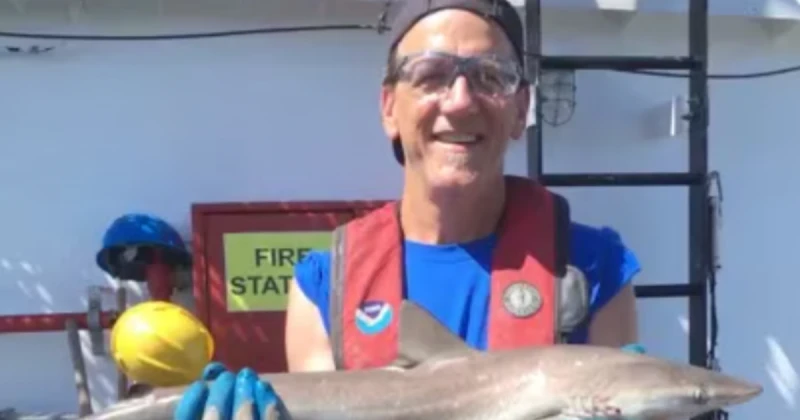 الفن و المشاهير: دراسة جديدة تثبت أن أسماك القرش البرازيلية تتعاطى المخ درات شاهد المقال التالي من صحافة لبنان عن دراسة جديدة تثبت أن أسماك القرش