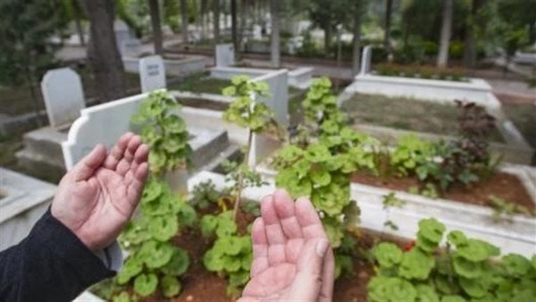 دعاء للميت يوم الجمعة وليلتها.. ادركه ب 12 كلمة مستجابة لوالديكيعد دعاء للميت يوم الجمعة وليلتها من الأدعية المستجابة خاصة في ظل الأوقات الشريفة