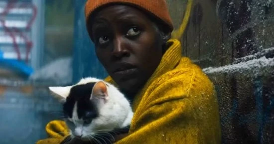 الفن فيلم : يحقق 241 مليون دولار عالميا أفاق عربيةأفاق عربية الفن نتحدث اليوم حول فيلم : يحقق 241 مليون دولار عالميا والذي يثير الكثير من الاهتمام