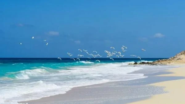 انحسار مياه البحر وموجات تسونامي بشواطئ مصر .. خبير يوضح علاقة زلزال كريت بانوراما شاهد المقال التالي من صحافة الأردن عن انحسار مياه البحر وموجات