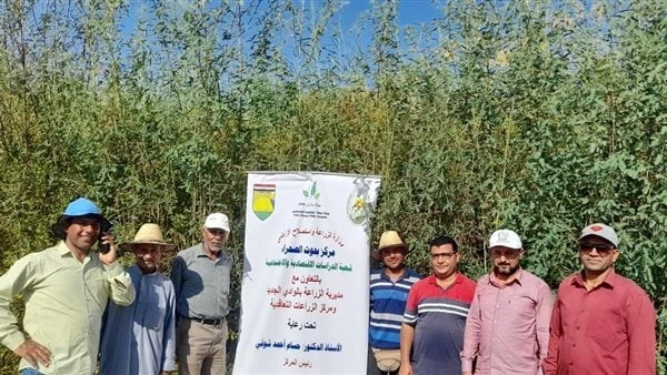 البحوث الزراعية: أنشطة بالمركز للحد من فجوة المحاصيل الزيتيةقام فرق بحثي من شعبة الدراسات الاقتصادية والاجتماعية بالتعاون مع مديرية الزراعة بالوادي