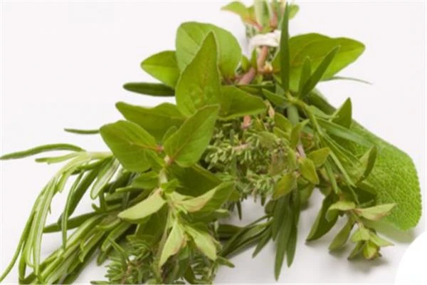 ..منها الزنجبيل.. 4 مشروبات عشبية لخفض مستوى السكر في الدم..تفاصيل تتابع الان تفاصيل ما ورد عن منها الزنجبيل.. 4 مشروبات عشبية لخفض مستوى السكر في