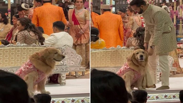 بعد حفل الزفاف الأسطورة.. نجل أغلى رجل في آسيا يخصص سيارة لكلبه- لن تتخيل سعرها لايف ستايل شاهد المقال التالي من صحافة مصر عن بعد حفل الزفاف الأسطورة