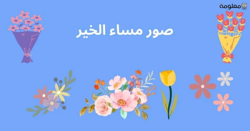 صور مساء الخير وأجمل عبارات مساء الخير للحبيبة 2025لا يوجد وسيلة أفضل من تبادل صور مساء الخير للغالين مع الأشخاص المفضلين لنا، إذ إن هذه الطريقة هي