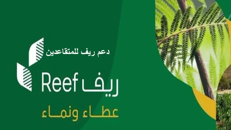 هل يتيح دعم ريف التسجيل للمتقاعدين؟ البرنامج يوضحهل متاح تسجيل المتقاعدين في دعم ريف أم لا؟ سؤال يطرح على لسان العديد من المواطنين في المملكة العربية السعودية بشأن المستفيدين من ال