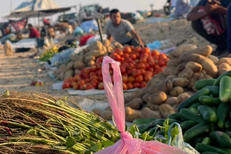 محافظ شمال سيناء يتابع تشغيل سوق الجورة تابع اللواء دكتور خالد مجاور، محافظ شمال سيناء اليوم الإثنين، تشغيل سوق الإثنين بقرية الجورة جنوب مدينه الشيخ