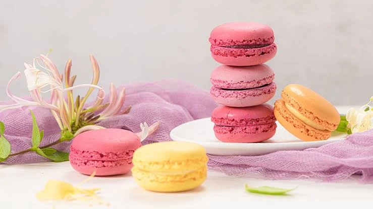 أشهر الحلويات الفرنسية.. إليك طرق التحضيرتتميز الحلويات الفرنسية بدقتها وتنوعها، ولكل منها تاريخ وقصة خاصة تجعلها فريدة من نوعها. يمكن تحضير هذه